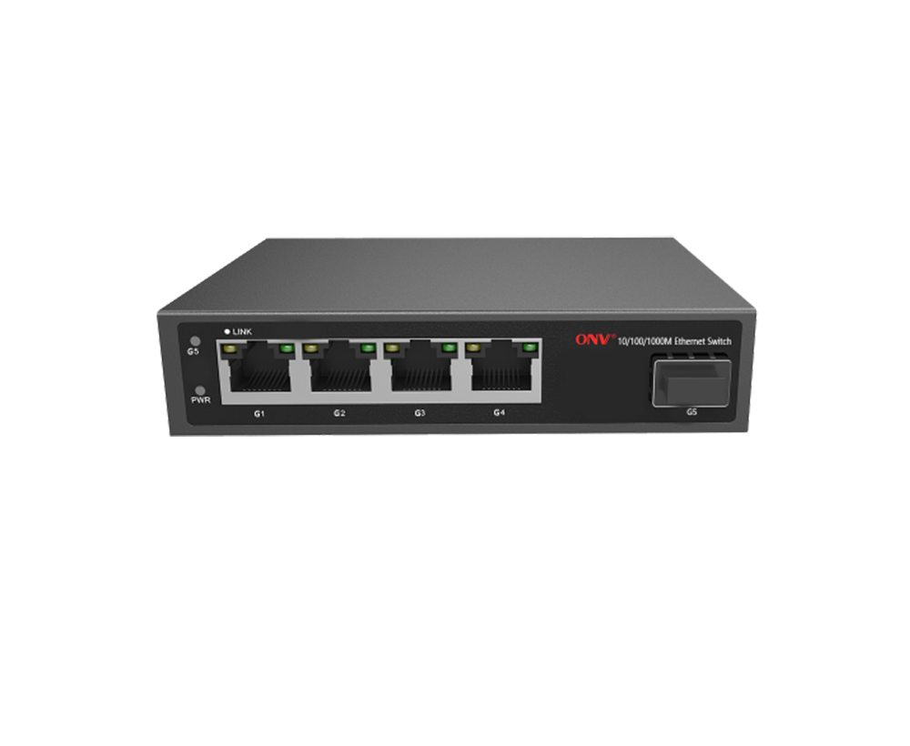 Gigabit Managed Ethernet Switch, Network Switch & Media Converter  Manufacturer